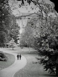 Couple In Park