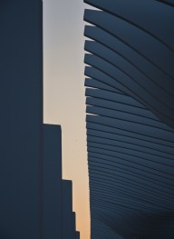 Muelle Uno Silhouette