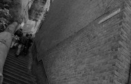 Dog Leap Stairs Newcastle