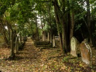 All Saints Church Graveyard Leighton Buzzard