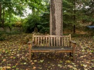 Bench In Graveyard