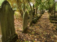 Graveyard In Autumn