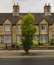 Mirror Image Houses
