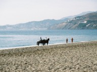 Horses On The Beach Salobreña