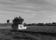 An abandoned cortijo in a field