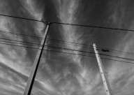 Cables On Concrete Poles
