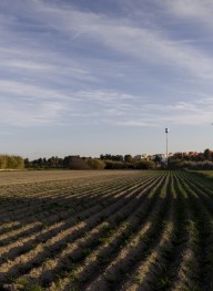 Ploughed Earth