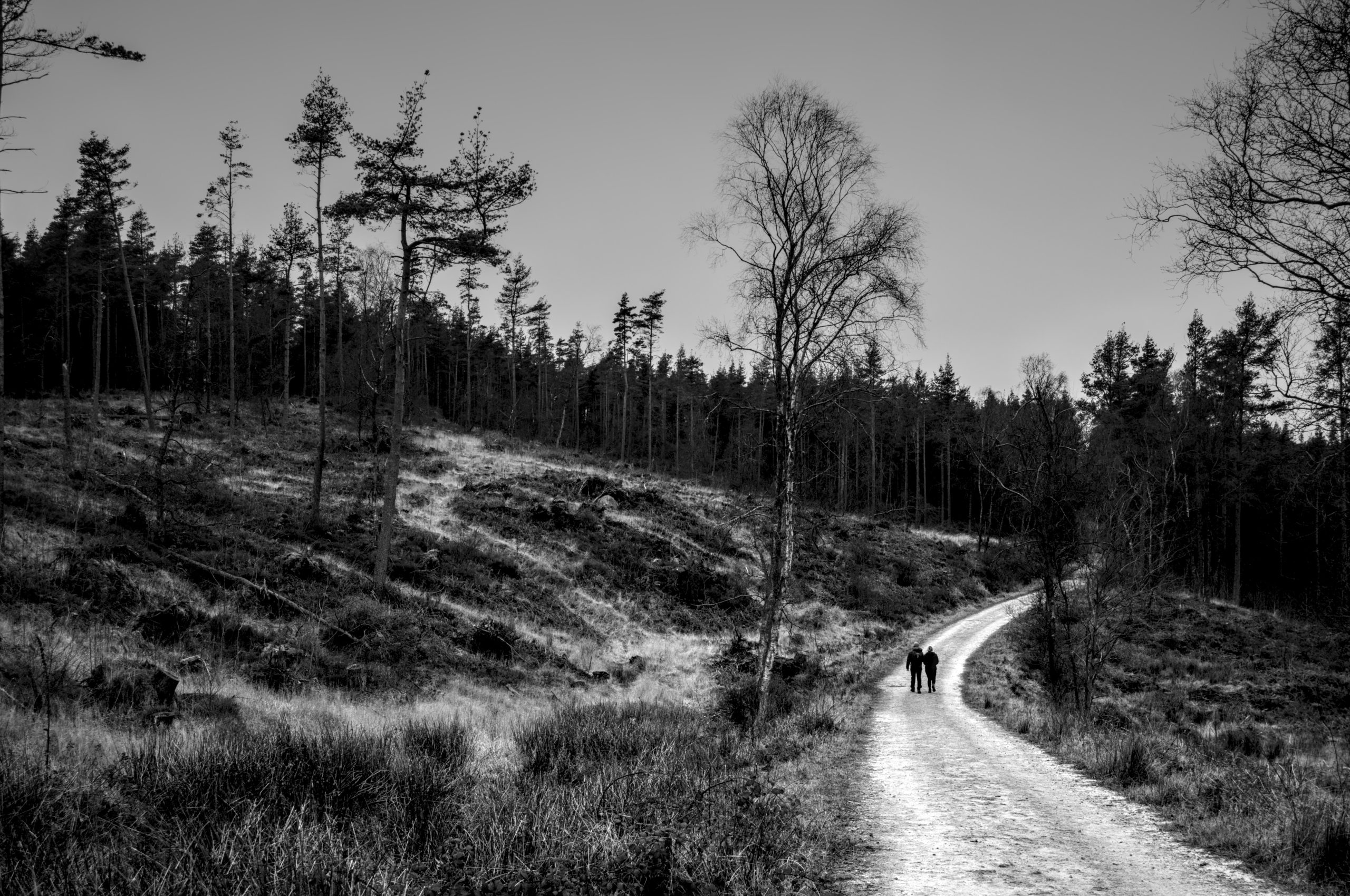 Simonside Hills, Northumberland